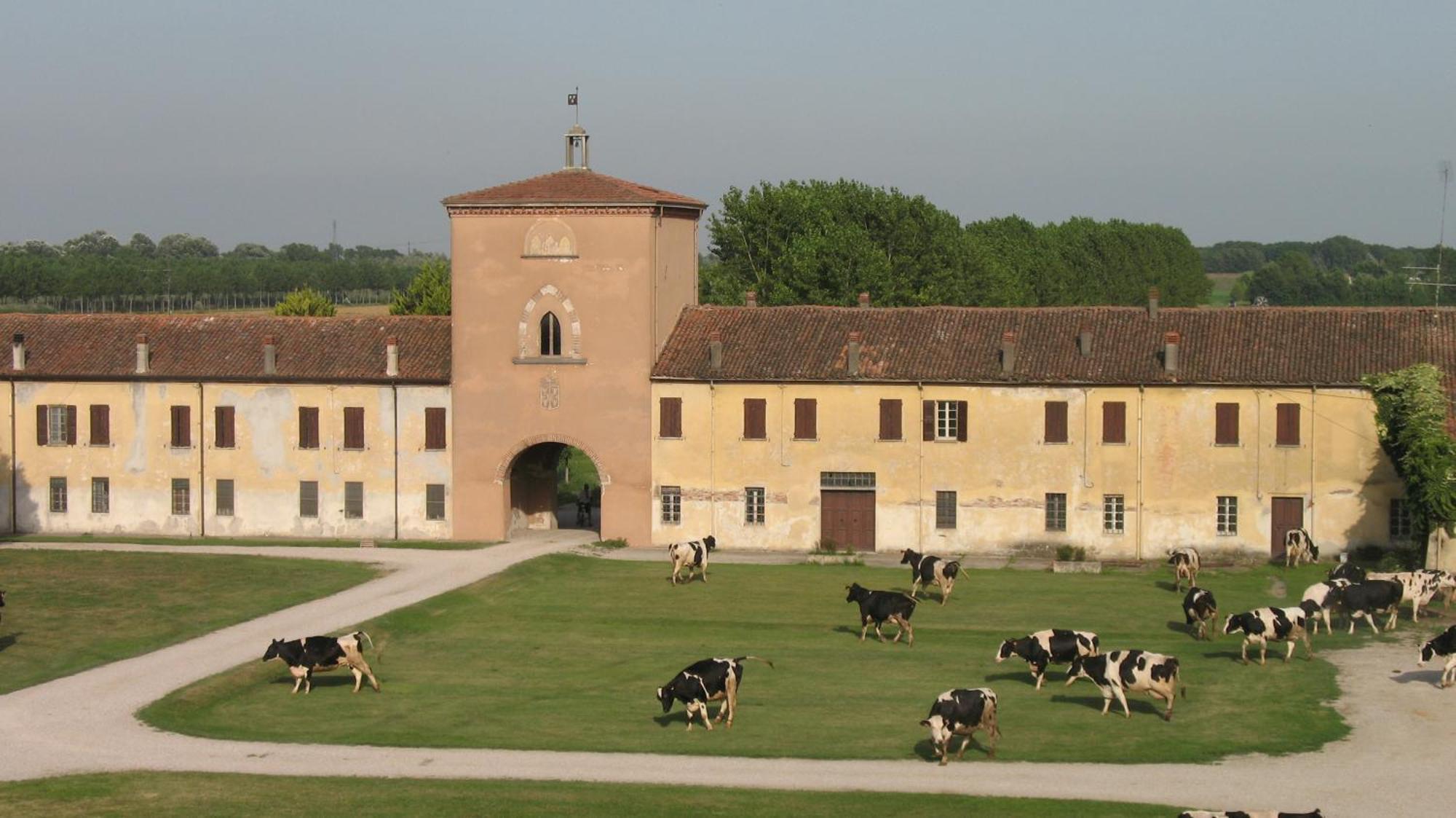 Agriturismo Corte Virgiliana 维尔吉利奥 外观 照片